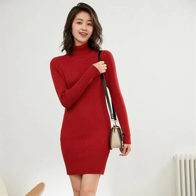 KHOSA CLOTHING™ Turtleneck One piece Women's Dresses