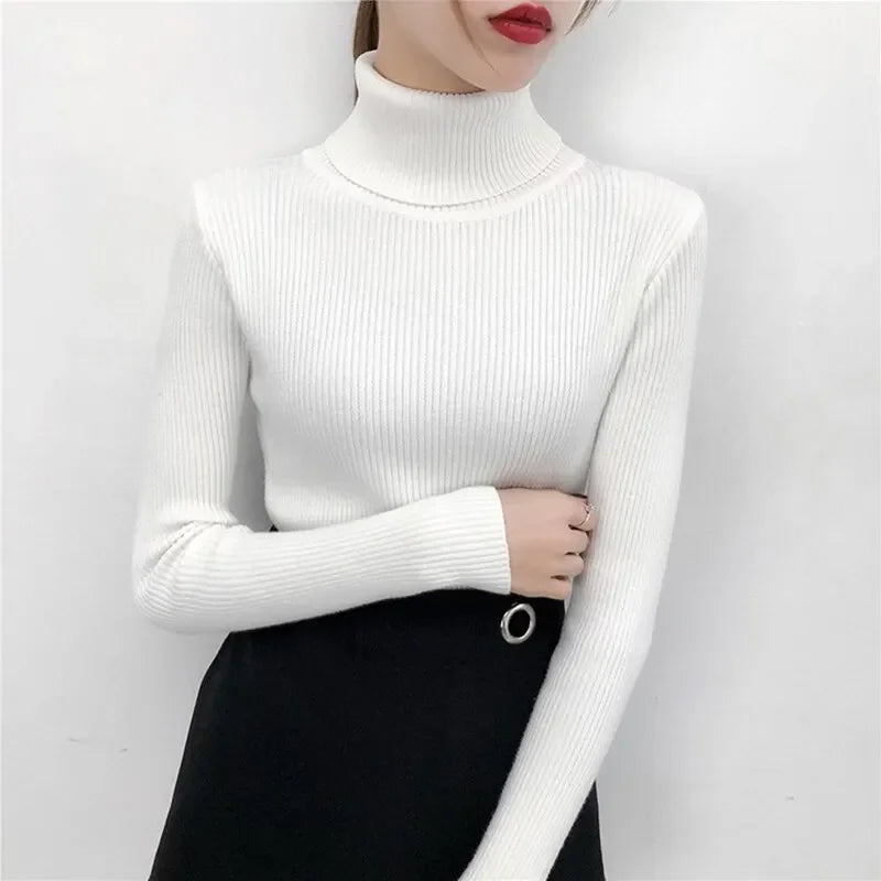 KHOSA CLOTHING™ Turtleneck Long Sleeve Jumper Top