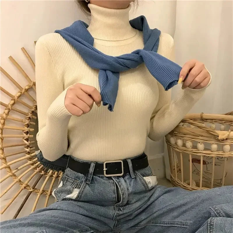 KHOSA CLOTHING™ Turtleneck Long Sleeve Jumper Top